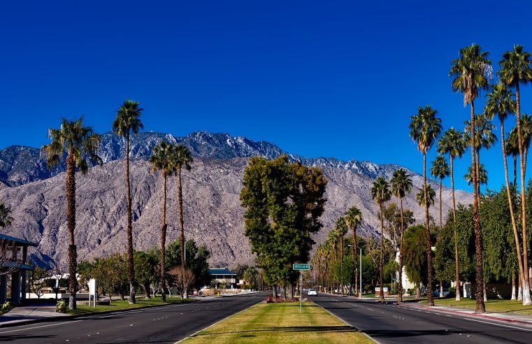 Best Things To Do In Palm Springs On This Weekend